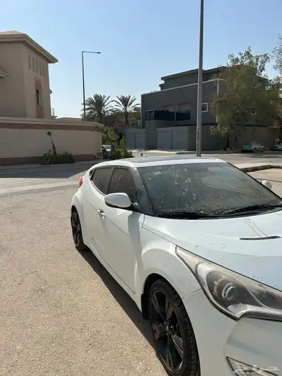 فيلوستر نظيفه 5