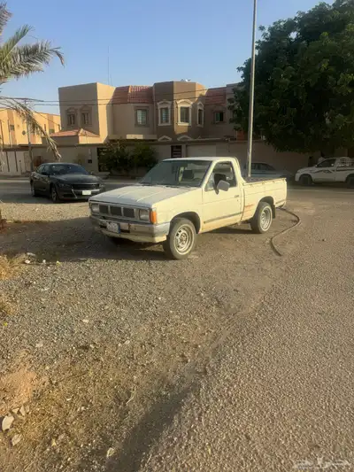 ددسن البيع 3