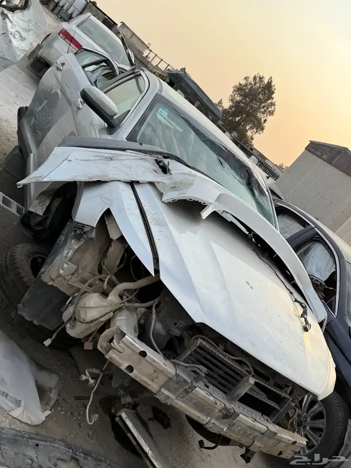 تورس 2018 1