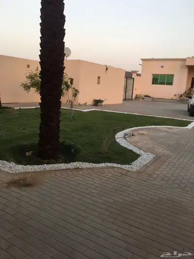 تثيل نجيله طبيعي 2