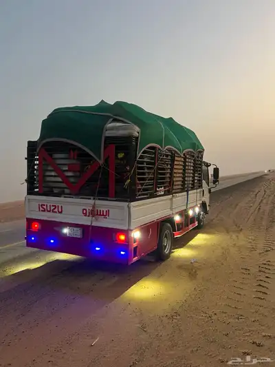 دينه 2024نقل 0
