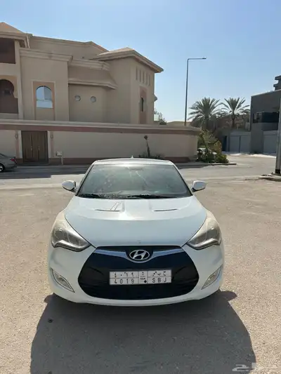 فيلوستر نظيفه 0