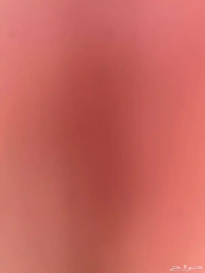 مطلوب دجاج بلدي 0