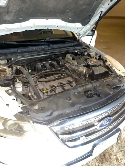 تورس2011 9