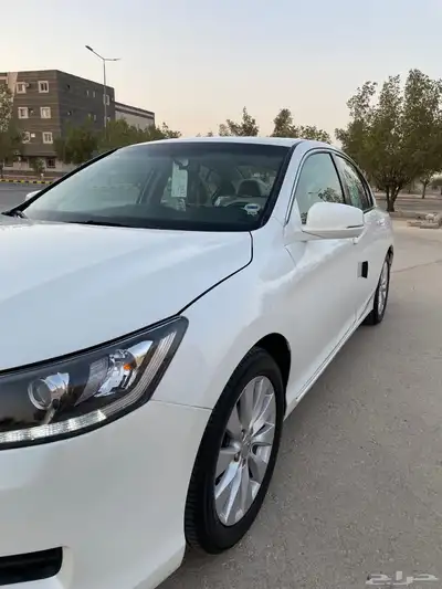 هونداء اكورد 2