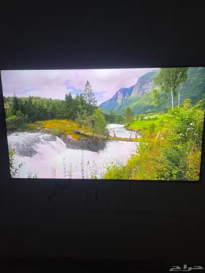 شاشة DANSAT 65 بوصه 1