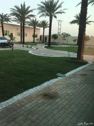 تثيل نجيله طبيعي 4