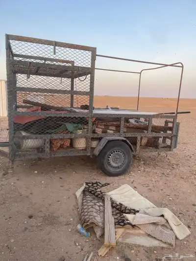 قلص 1