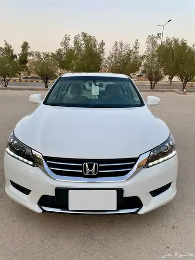 هونداء اكورد 0