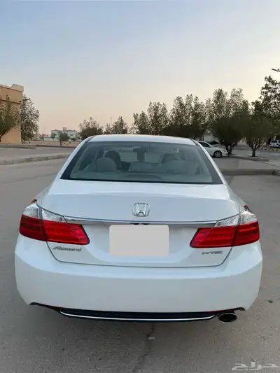 هونداء اكورد 1