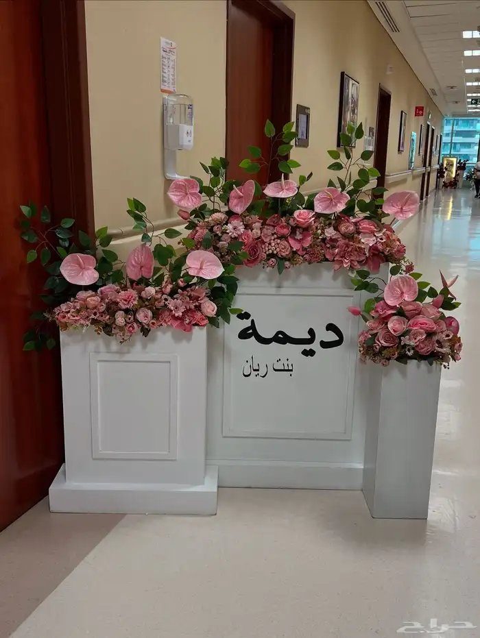 ستاند مواليد 1