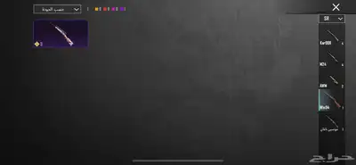 حساب ببجي للبيع 29