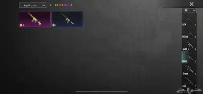 حساب ببجي للبيع 19