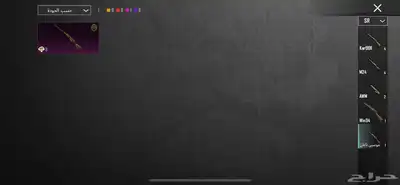 حساب ببجي للبيع 30