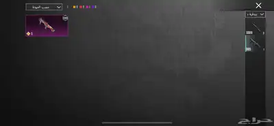 حساب ببجي للبيع 42