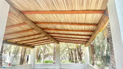 جريد سعف 1