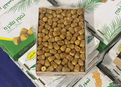 تمر سكري مفتل من مزارعنا طيب بالحيل خراف اليوم بادر ب الحجز. 0