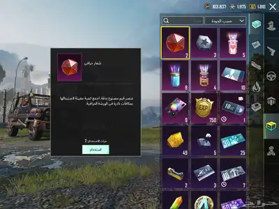 حساب ببجي اسلوب خرافي مع جروزه كل مسج(تم البيع) 34