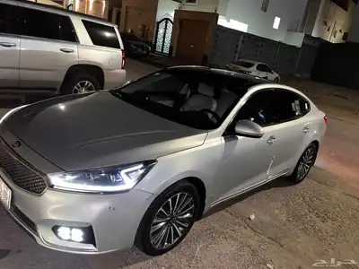 كادينزا 2019 9