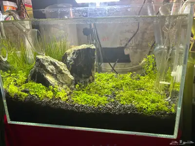 aquarium for sale 1