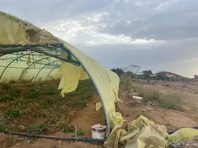 للبيع محميات عدد 2 مجلفن فرنسي النوع الأصلي 2