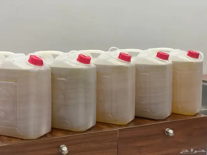 زيت مورينجا جديد توه طالع من المعصرة 1