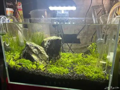 aquarium for sale 0