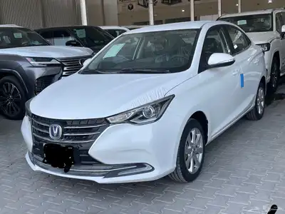 للبيع شانجان السفن 2025 فل كامل اعلى فئه 1
