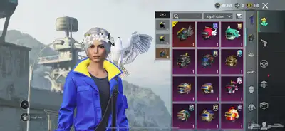 حساب ببجي للبيع 30