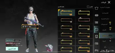 حساب ببجي للبيع 2