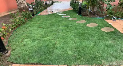 نجيله طبيعي مشروطه 8