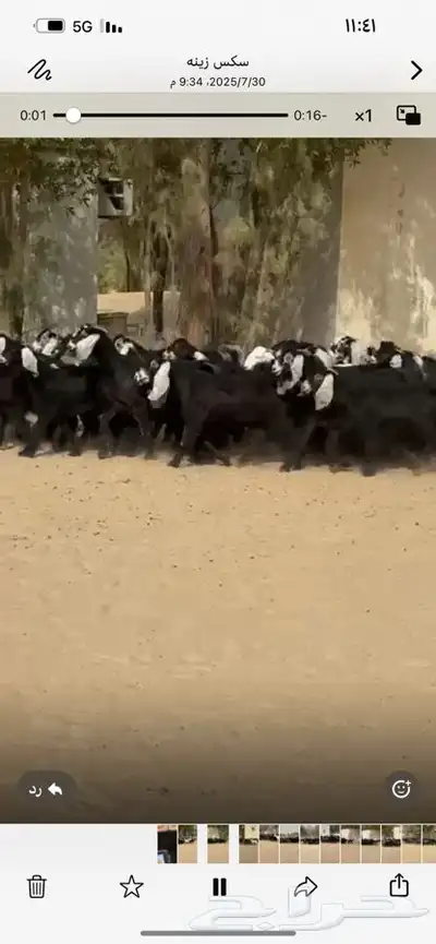 جفار عوارض 0