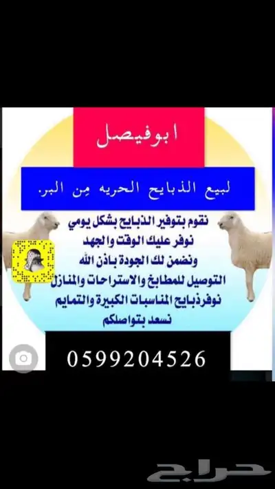 ذبايح حرية من البر مع الذبح والتغليف والتوصيل مجاني 47