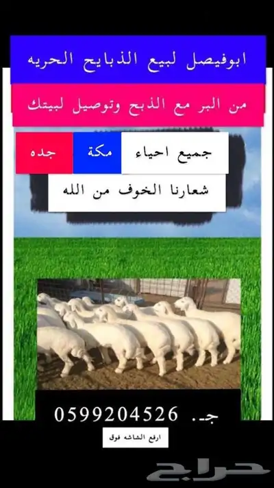 ذبايح حرية من البر مع الذبح والتغليف والتوصيل مجاني 64