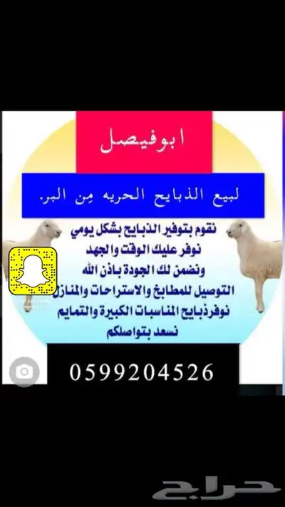 ذبايح حرية من البر مع الذبح والتغليف والتوصيل مجاني 12