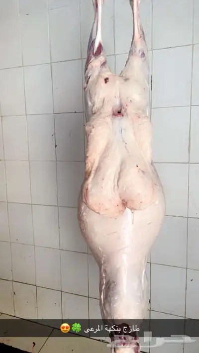 ذبايح حرية من البر مع الذبح والتغليف والتوصيل مجاني 0