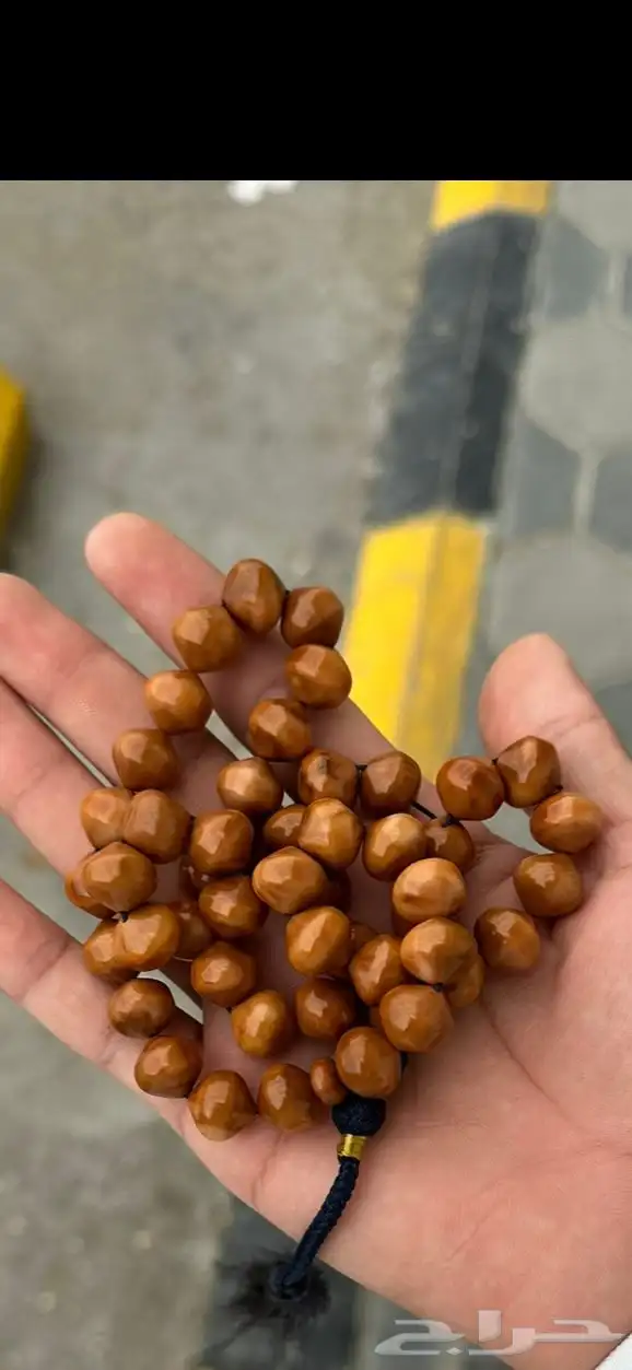 مسباح فتوران 3