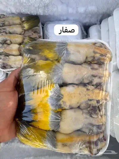 دددخخللل وقمنيري 7