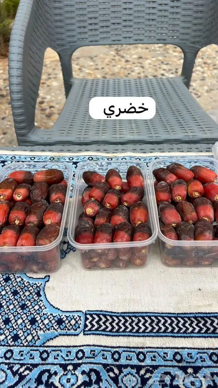 تمور مبردة 8