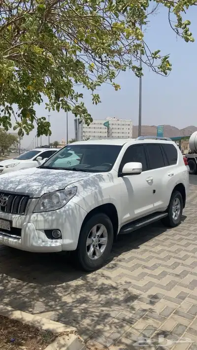 برادو 5