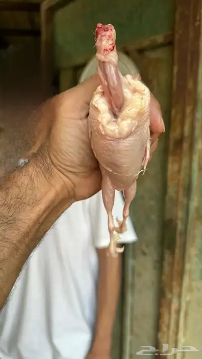 سمااان 2