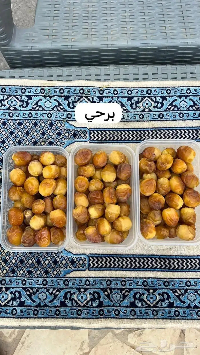 تمور مبردة 7