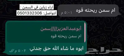 سمن بقر 14