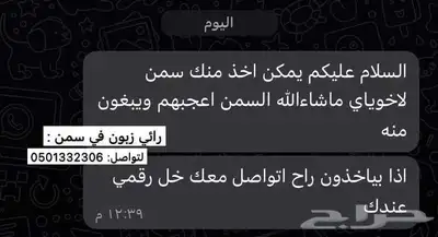 سمن بقر 8