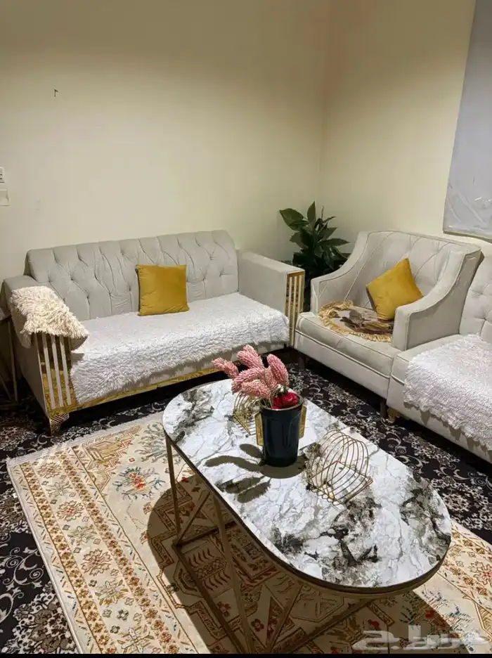 سلام عليكم كنب نضيف مستخدم مع اغراضه وطولته وعلى اليوم 2