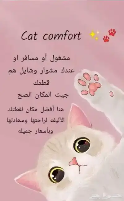 فندق قطط ترويش قطط 2