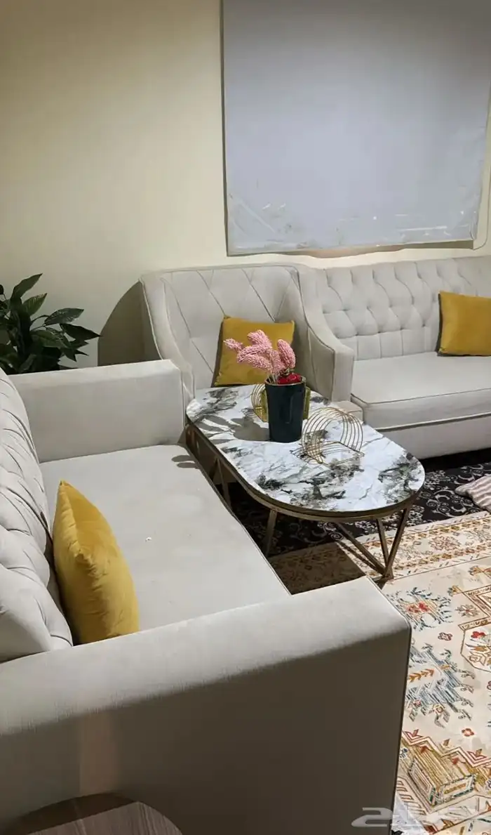 سلام عليكم كنب نضيف مستخدم مع اغراضه وطولته وعلى اليوم 12