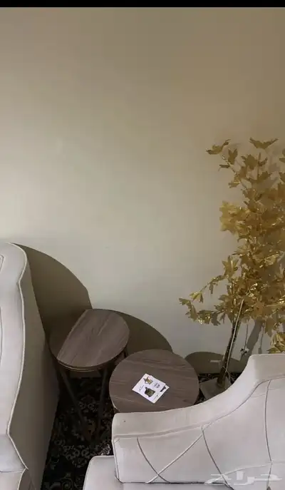 سلام عليكم كنب نضيف مستخدم مع اغراضه وطولته وعلى اليوم 7