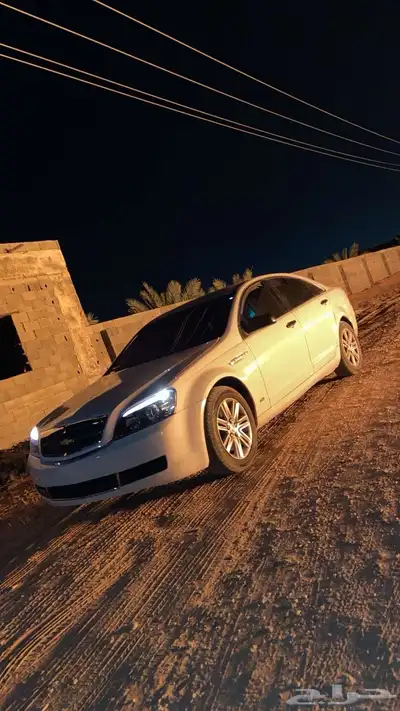 بيع عجل كابرس 2011 LS 0
