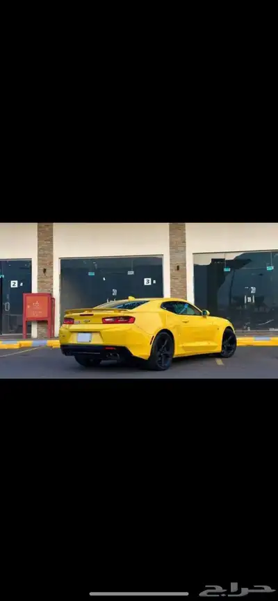 كمارو Ss 2017 12